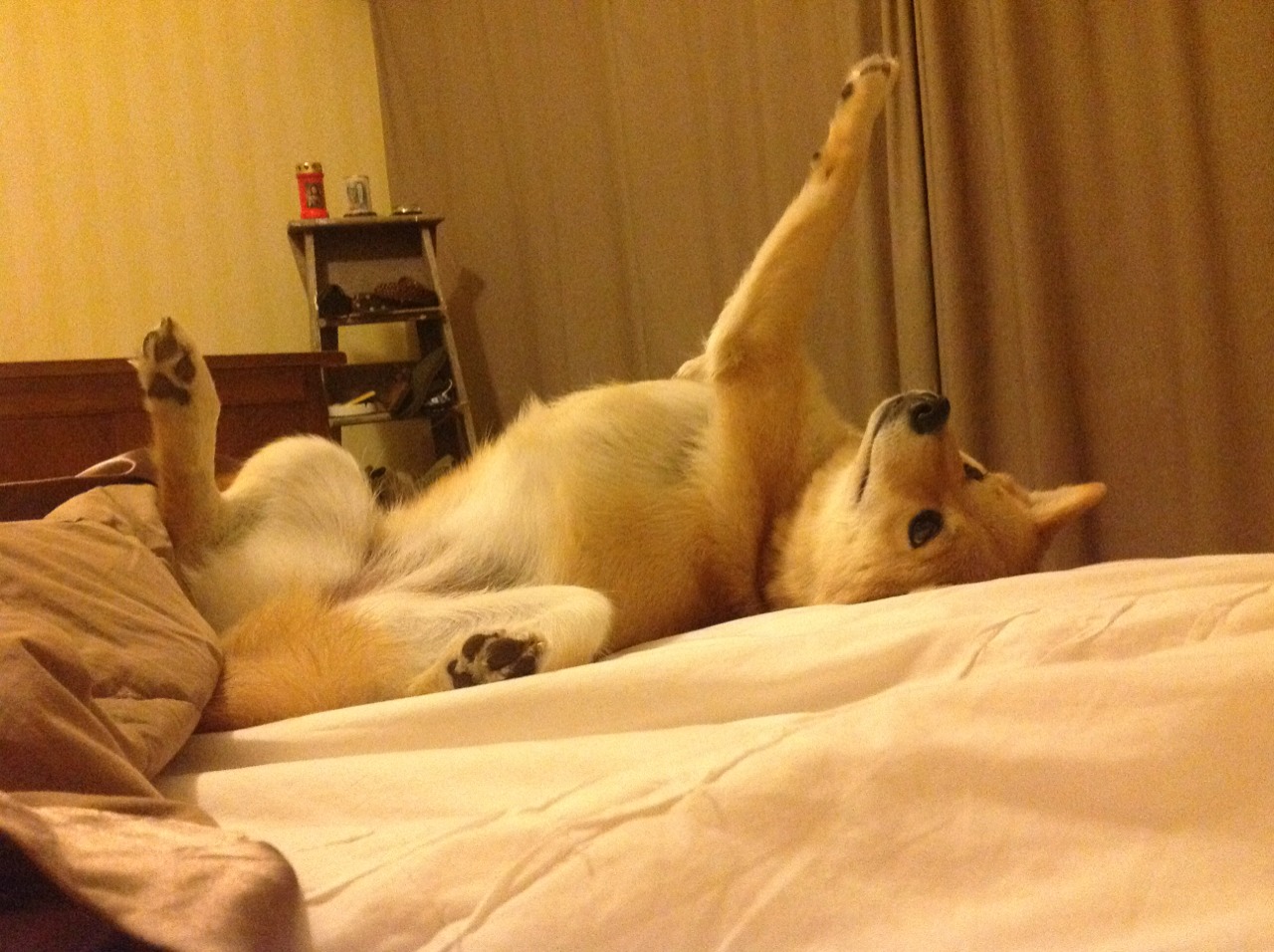 开云体育app-浙江队斩落奇才，锡安成为关键先生，一场定义新时代的比赛