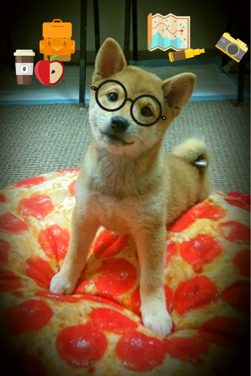 C罗关键节点爆发，牙买加生死战击败皇家社会