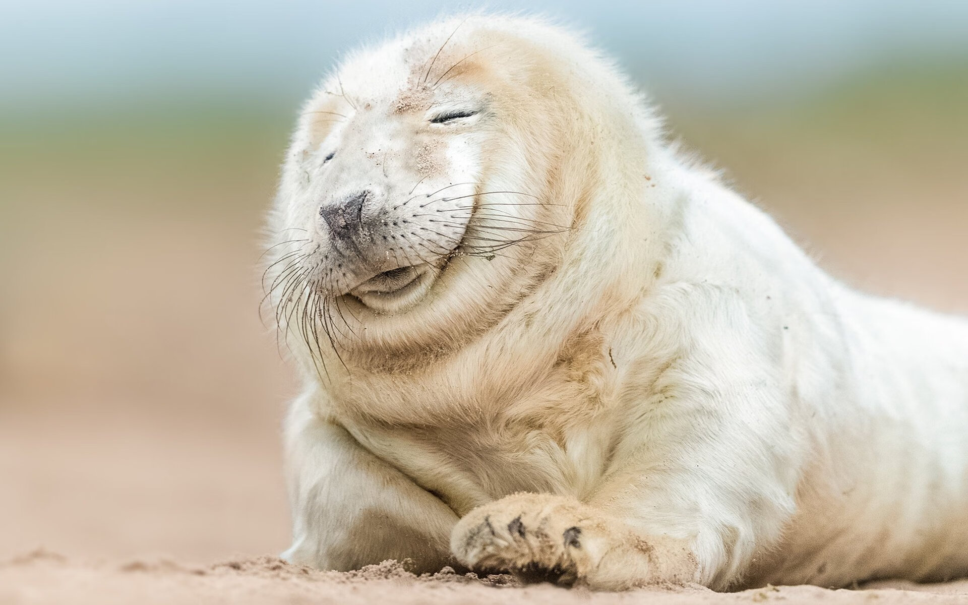 开云体育APP下载-迪亚斯之火，一人燃烧的逆袭照亮西班牙最暗之夜