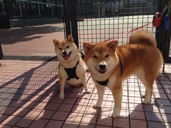 逆转之夜，爱德华兹如何成为麦迪逊广场的关键先生