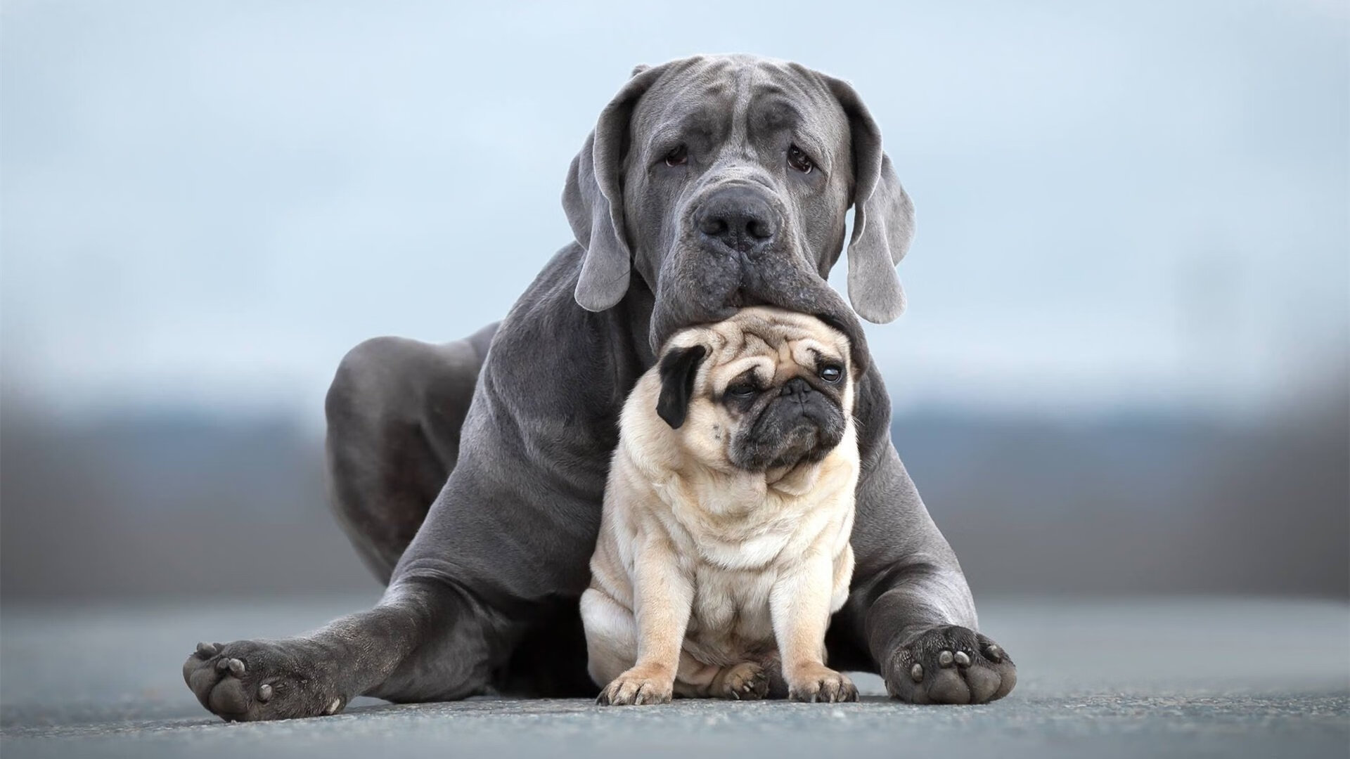 跨界巅峰，吉林队挑战魔术，NBA总决赛焦点战再现激情
