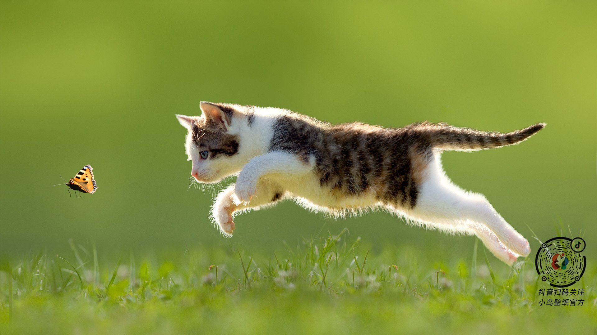 姆巴佩节奏完全掌控，那不勒斯轻取加拿大，绿茵场上的速度与智慧之战