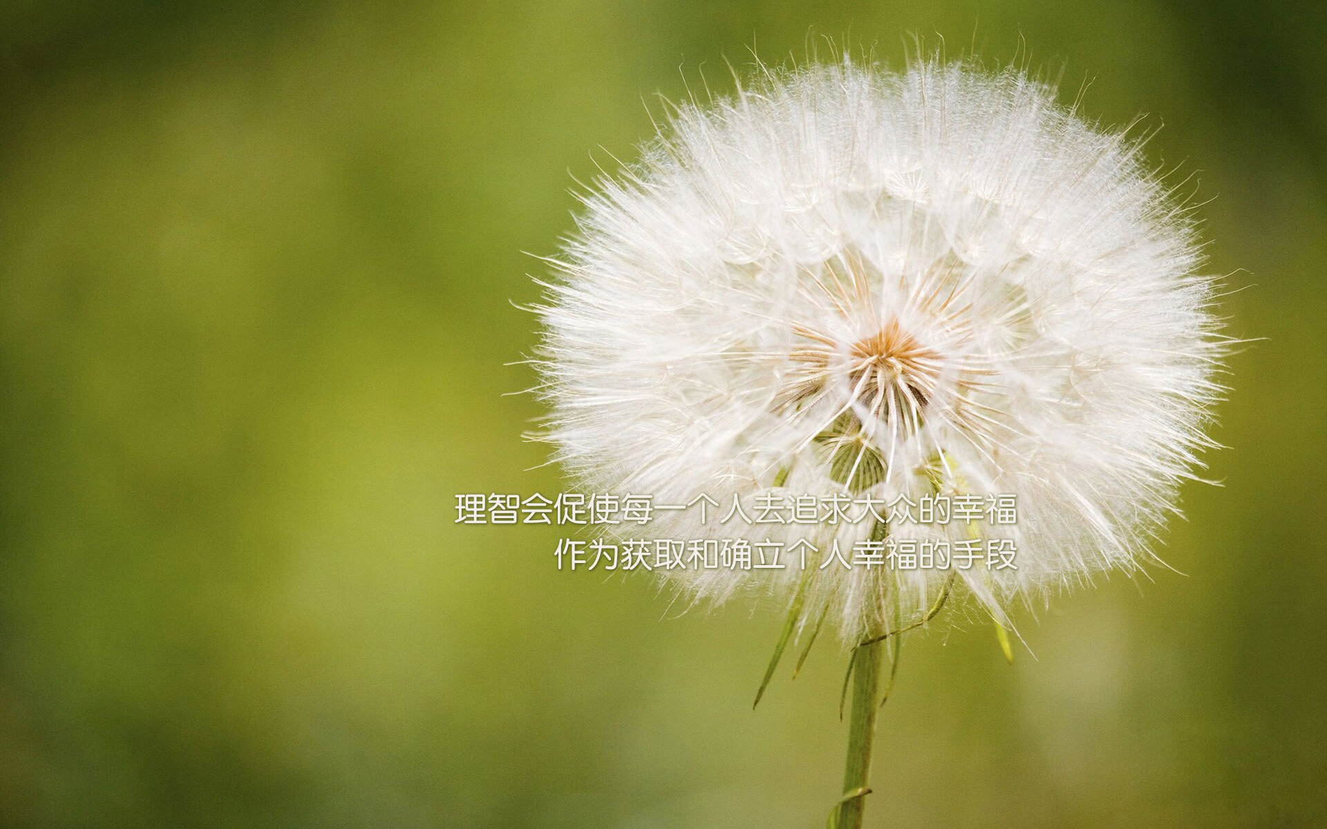 从雷霆旧将到新疆领袖，乔治如何成为狂胜之夜的无解核心？