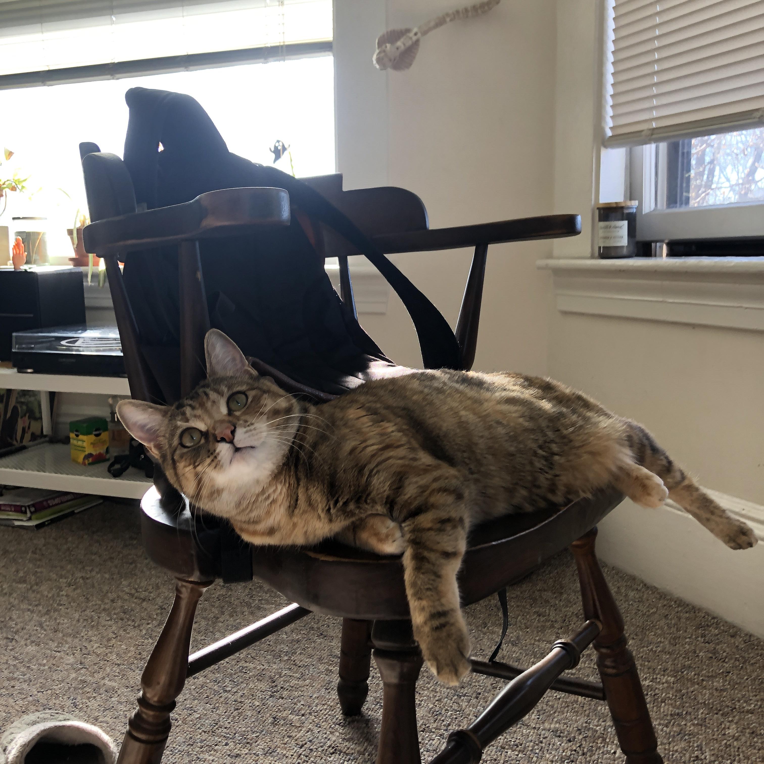 开云体育-琴师与洪流，当利拉德将时间折叠，火箭用窒息的整体性完成艺术谋杀