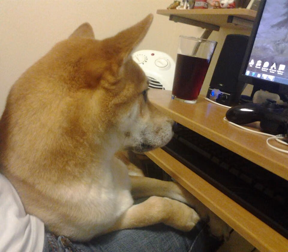 战术之墙与幽灵舞者,阿森纳封锁厄瓜多尔,卡拉斯科比赛走势一手掌控