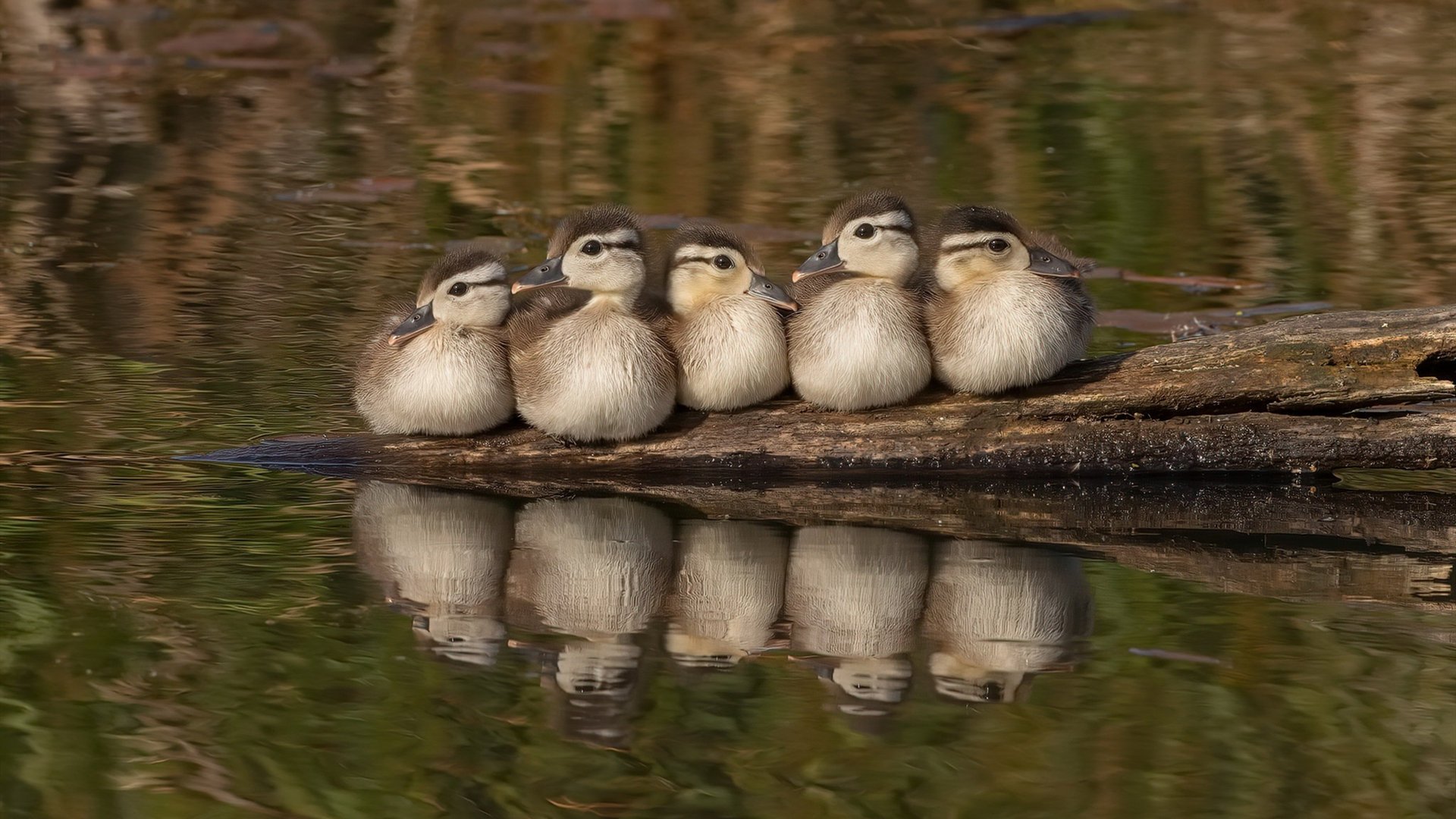 库尔图瓦一夫当关，拜仁万箭穿心，一场教科书级的压制与击穿