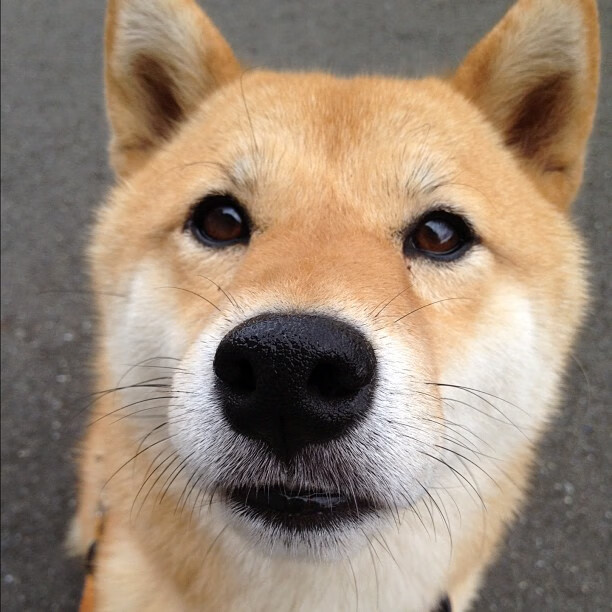 东决关键战之夜，克莱的里程碑传奇