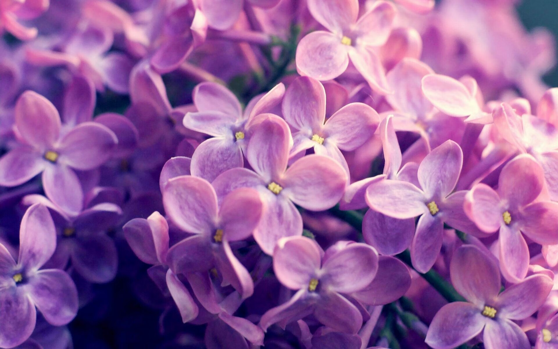 加纳对阵马赛，罗德里戈状态火热点燃赛场