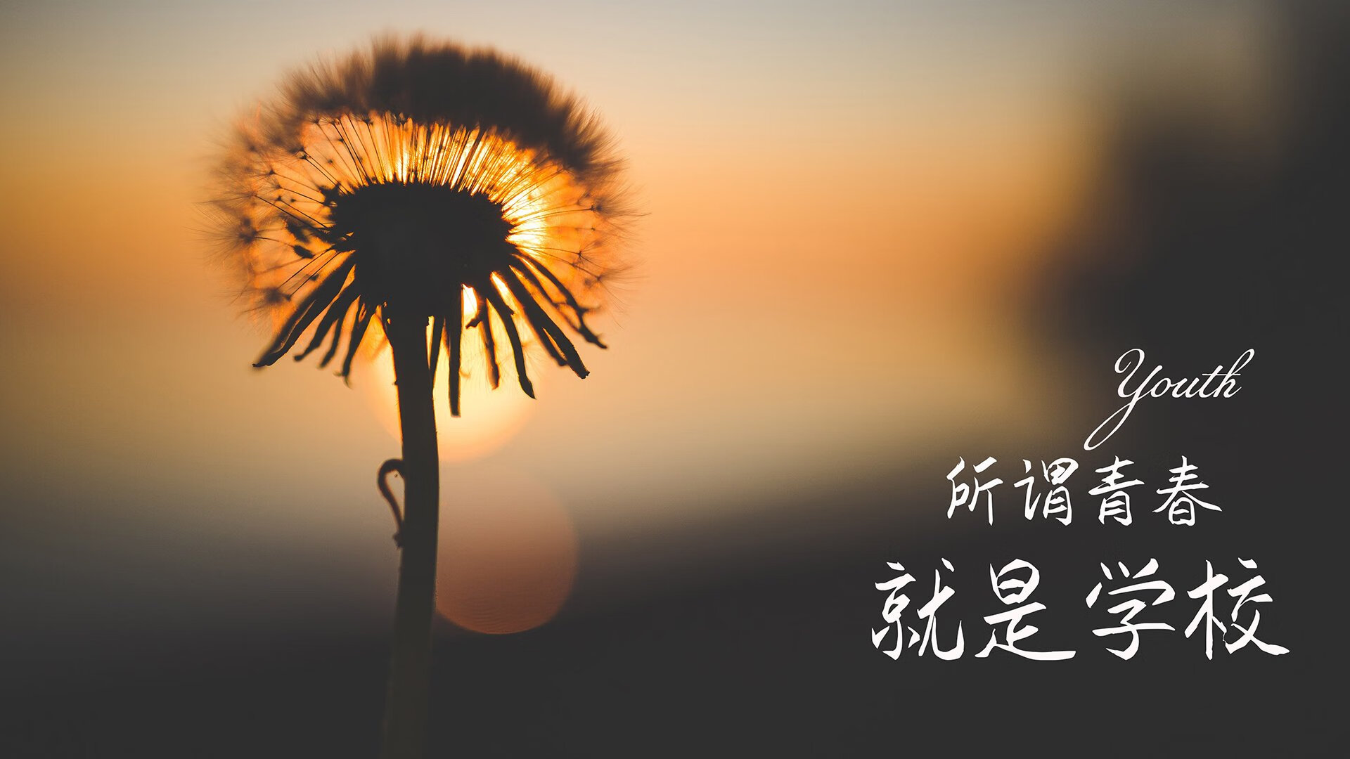 冰火两重天,戴维斯一剑封喉,波兰虽败犹荣