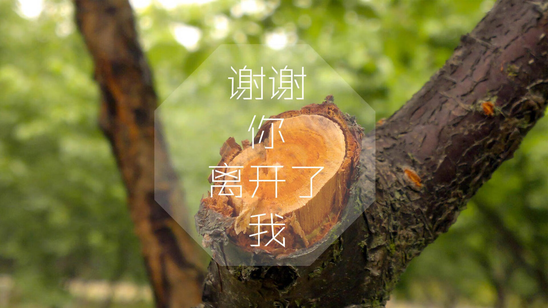 控球为王,巨星闪耀,2026世界杯D组关键战,巴西完胜法国,三笘薰率队再下一城