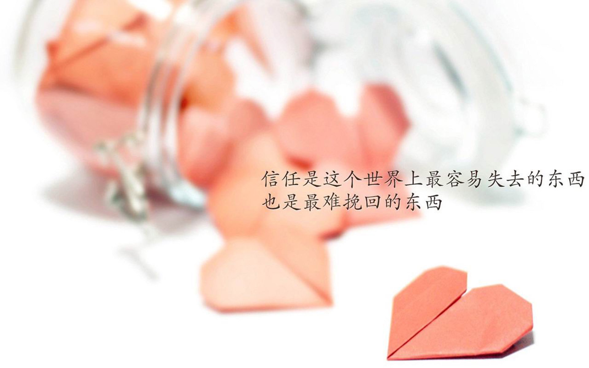 奇迹与巨星,2026世界杯F组,哥斯达黎加压制波兰,德布劳内闪耀全场