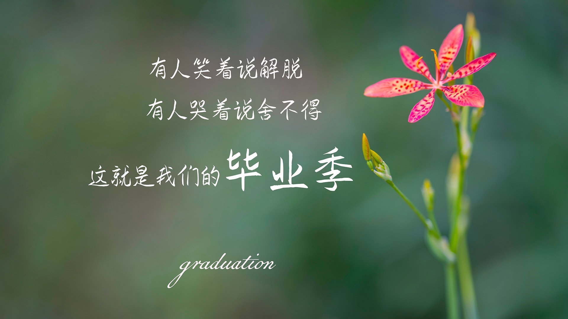 开云体育入口-烽火燃F组，波兰铁骑踏破南美坚盾，费利克斯率队演绎强强对话的进攻狂潮