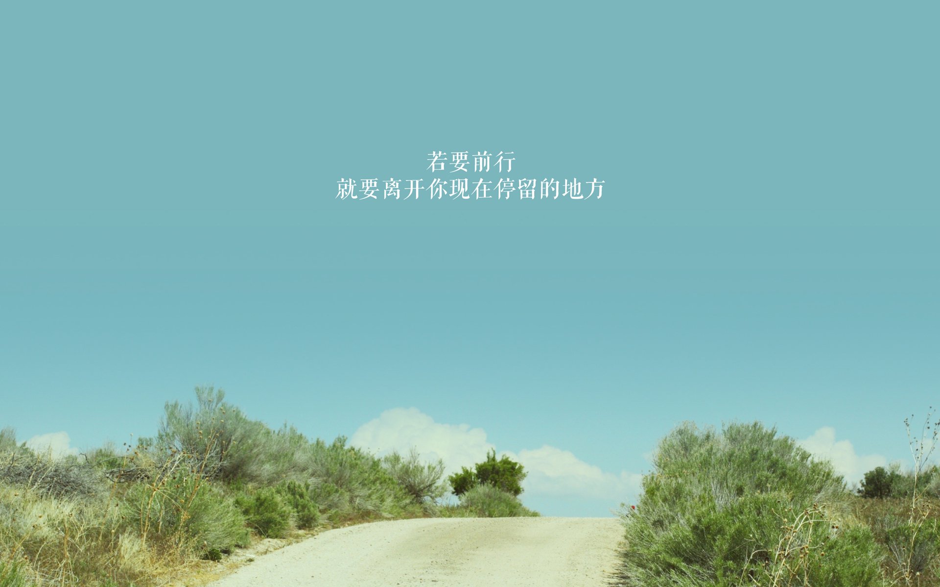 沙漠风暴席卷绿茵,突尼斯横扫韩国,卢卡库致命一击锁定G组生死局