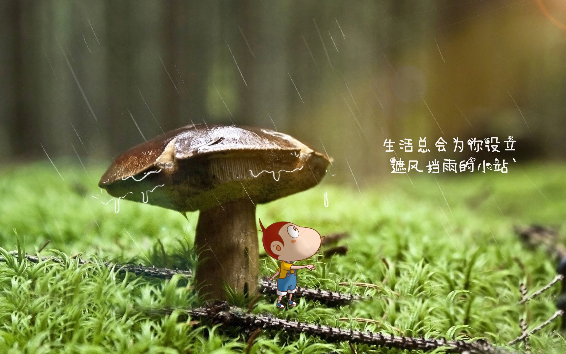 开云官网-摩洛哥铁骑踏破东欧防线，萨内如天神下凡闪耀2026世界杯D组